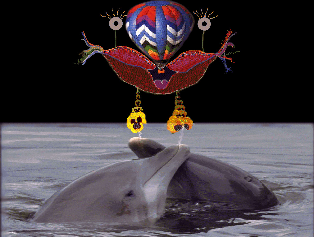 Dolphins in love